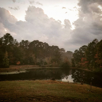 pond.jpg